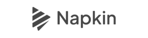 Napkin AI logo